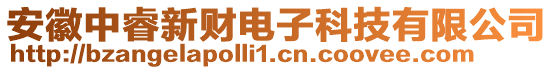 安徽中睿新財電子科技有限公司