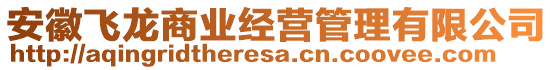 安徽飛龍商業(yè)經(jīng)營管理有限公司