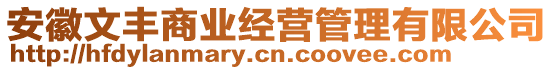 安徽文豐商業(yè)經(jīng)營(yíng)管理有限公司