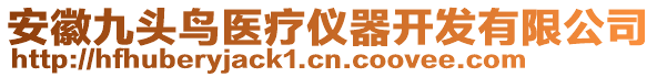 安徽九頭鳥醫(yī)療儀器開發(fā)有限公司