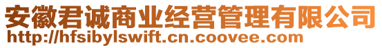 安徽君誠商業(yè)經(jīng)營管理有限公司