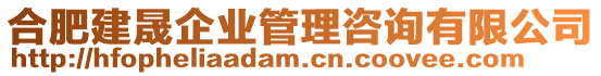 合肥建晟企業(yè)管理咨詢有限公司