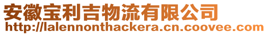 安徽寶利吉物流有限公司
