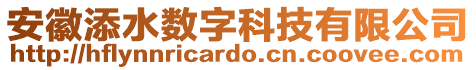 安徽添水?dāng)?shù)字科技有限公司