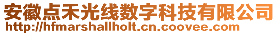 安徽點禾光線數字科技有限公司