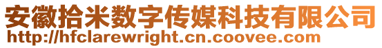 安徽拾米數(shù)字傳媒科技有限公司