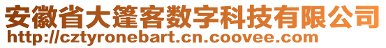 安徽省大篷客數(shù)字科技有限公司