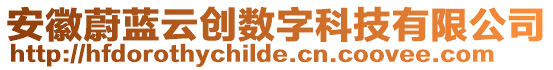 安徽蔚藍云創(chuàng)數(shù)字科技有限公司