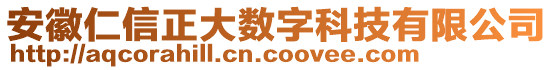 安徽仁信正大數(shù)字科技有限公司