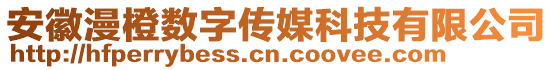 安徽漫橙数字传媒科技有限公司