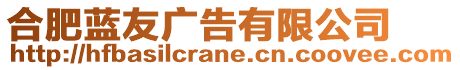 合肥蓝友广告有限公司