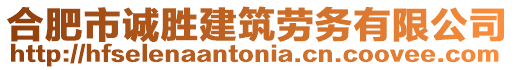 合肥市誠勝建筑勞務有限公司