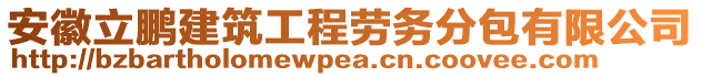 安徽立鵬建筑工程勞務(wù)分包有限公司