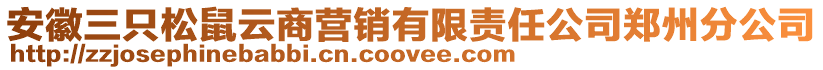 安徽三只松鼠云商營銷有限責任公司鄭州分公司