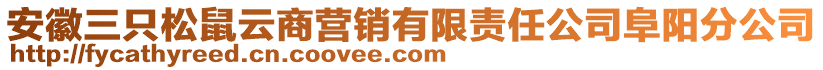 安徽三只松鼠云商營銷有限責任公司阜陽分公司