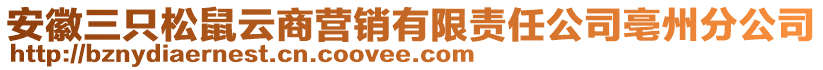 安徽三只松鼠云商營(yíng)銷有限責(zé)任公司亳州分公司