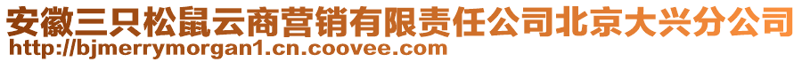 安徽三只松鼠云商營(yíng)銷有限責(zé)任公司北京大興分公司