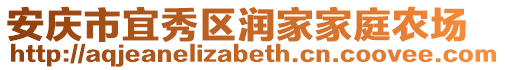 安庆市宜秀区润家家庭农场