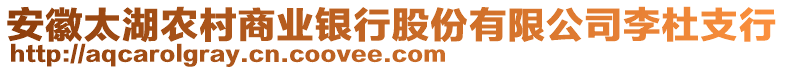 安徽太湖農(nóng)村商業(yè)銀行股份有限公司李杜支行