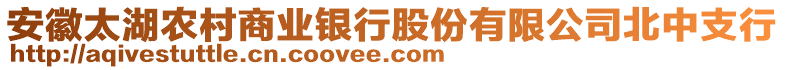 安徽太湖农村商业银行股份有限公司北中支行