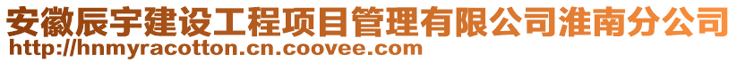 安徽辰宇建設(shè)工程項目管理有限公司淮南分公司