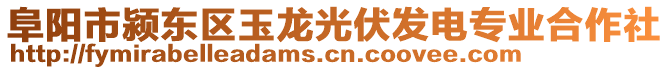 阜陽市潁東區(qū)玉龍光伏發(fā)電專業(yè)合作社