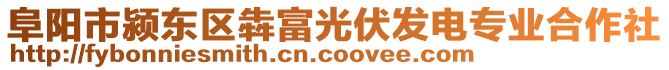 阜陽市潁東區(qū)犇富光伏發(fā)電專業(yè)合作社