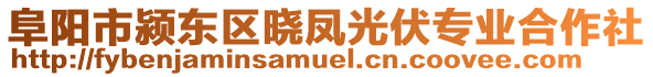 阜阳市颍东区晓凤光伏专业合作社