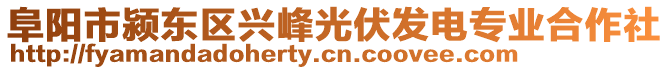 阜陽(yáng)市潁東區(qū)興峰光伏發(fā)電專業(yè)合作社