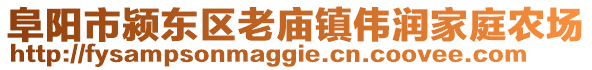 阜阳市颍东区老庙镇伟润家庭农场