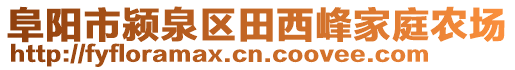 阜阳市颍泉区田西峰家庭农场