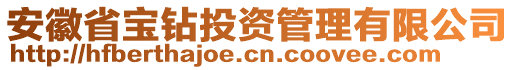 安徽省宝钻投资管理有限公司