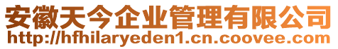 安徽天今企業(yè)管理有限公司