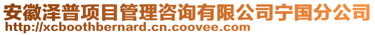 安徽澤普項目管理咨詢有限公司寧國分公司