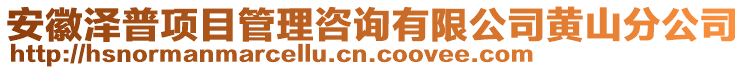 安徽澤普項目管理咨詢有限公司黃山分公司