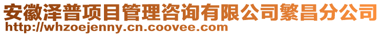 安徽澤普項(xiàng)目管理咨詢有限公司繁昌分公司