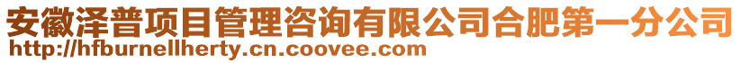 安徽澤普項(xiàng)目管理咨詢有限公司合肥第一分公司