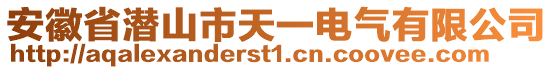 安徽省潛山市天一電氣有限公司