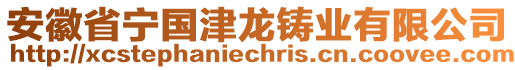 安徽省寧國(guó)津龍鑄業(yè)有限公司