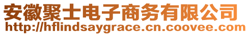 安徽聚士電子商務(wù)有限公司