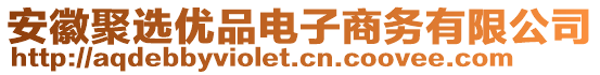 安徽聚選優(yōu)品電子商務(wù)有限公司