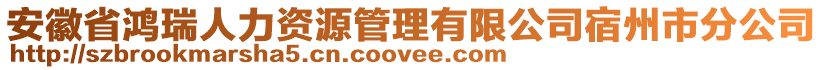 安徽省鴻瑞人力資源管理有限公司宿州市分公司