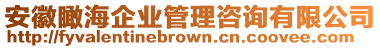 安徽瞰海企業(yè)管理咨詢有限公司