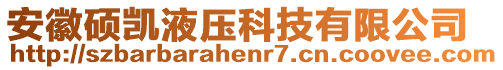 安徽碩凱液壓科技有限公司