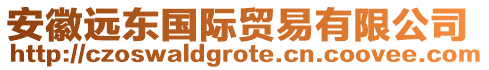 安徽遠(yuǎn)東國際貿(mào)易有限公司
