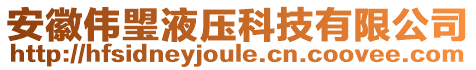 安徽偉琞液壓科技有限公司