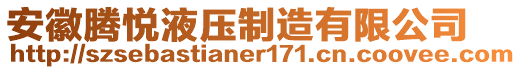 安徽騰悅液壓制造有限公司