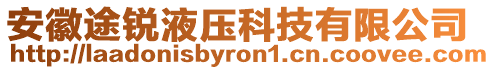 安徽途銳液壓科技有限公司