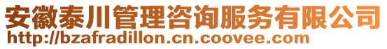 安徽泰川管理咨詢服務(wù)有限公司