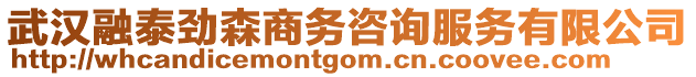 武漢融泰勁森商務(wù)咨詢服務(wù)有限公司